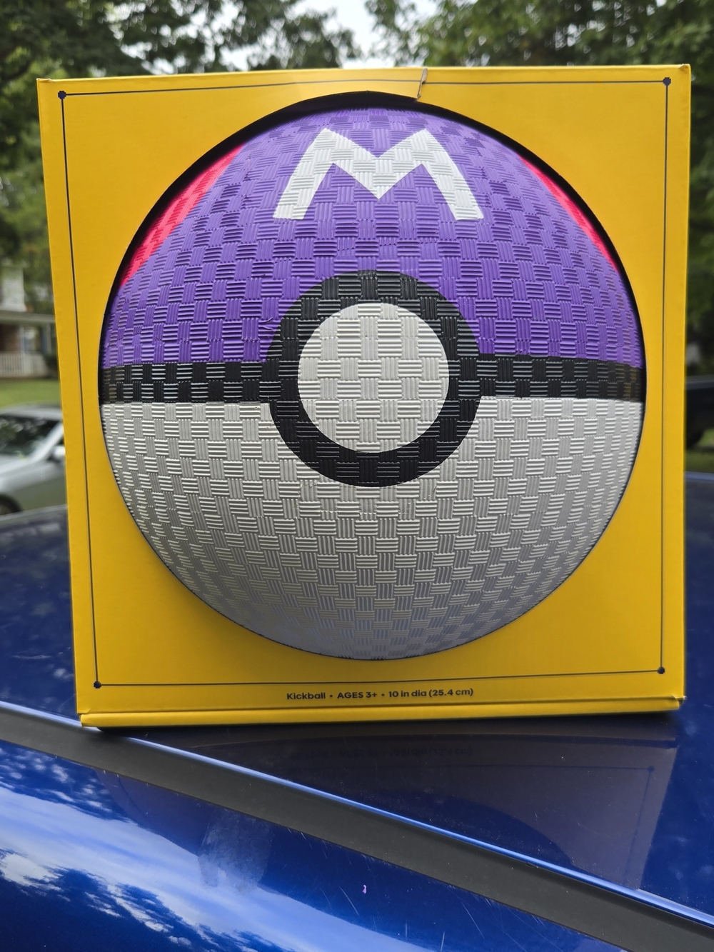 Pokémon Master Ball Kickball 10” Target Exclusive Master Ball